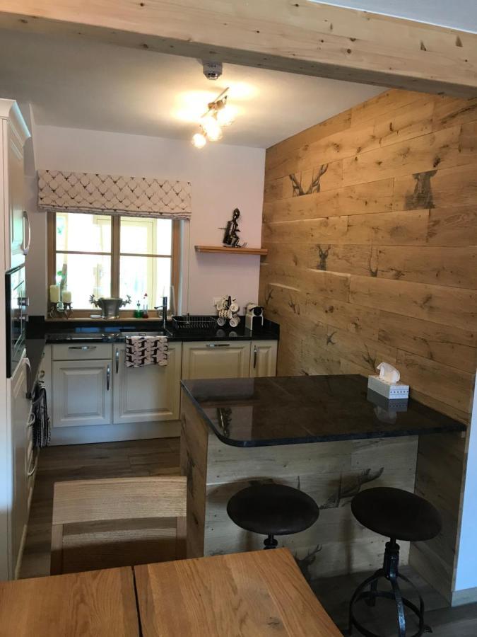 Platzhirsch Daire Haus im Ennstal Dış mekan fotoğraf
